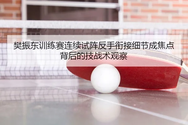 樊振东训练赛连续试阵反手衔接细节成焦点背后的技战术观察